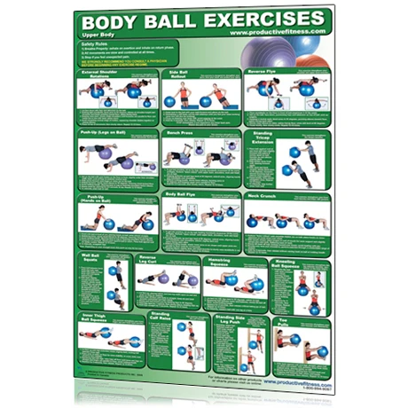 Body Ball Fitness Chart  - Upper Body